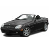 LEDs and Xenon HID conversion Kits for Mercedes-Benz SLK-Class (R170)