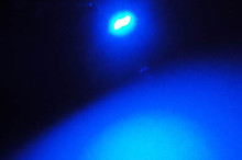 Blue LEDs - W2.1x4.9d - T5 37 74