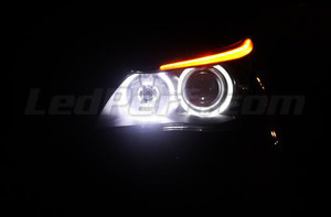 white xenon 6000K LEDs for Angel eyes for BMW 5 Series E60 E61
