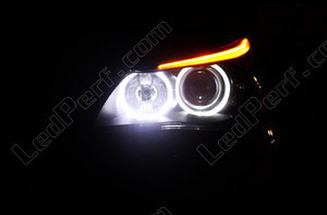 Angel eyes LED for BMW Serie 6 (E63 E64) LCI