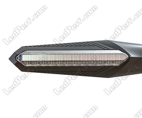 Sequential LED Indicator for Aprilia Pegaso 650, front view.