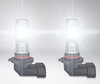 H10 Osram LEDriving Standard LED Headlights Bulbs for fog lights in operation