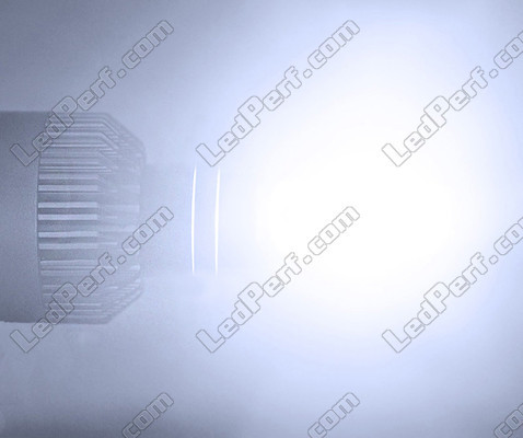 H7 LED Headlights Bulbs Special VW Audi Skoda Seat Porsche And Mercedes Rendering
