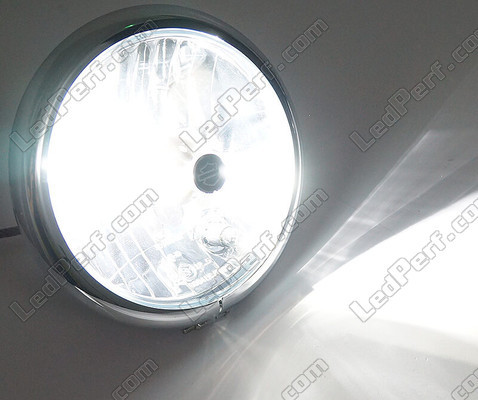 Ampoule 9006 (HB4) LED Moto Ajustable - Eclairage Blanc Pur