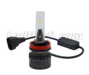 Ampoules H16 LED Eco Line branchement plug and play et Canbus anti-erreur