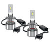 Gros plan sur les ampoules LED H7 Osram LEDriving® XTR 6000K - 64210DWXTR