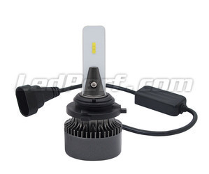 Ampoules HB3 LED Eco Line branchement plug and play et Canbus anti-erreur