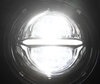 Optique moto Full LED Chromée pour phare rond de 5.75 pouces - Type 5