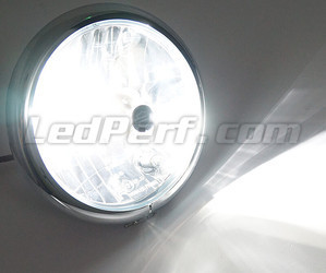 Ampoule H1 LED Moto Ajustable - Eclairage Blanc Pur