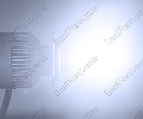 Ampoule LED H1 COB Moto Kit LED Haute Performance H1