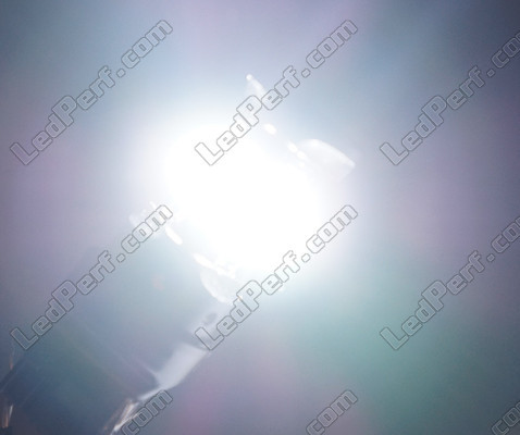 7443 - W21/5W - T20 LED Série Ghost lumière blanche