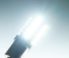 Ultimate Ultra Powerful 1156 - 7506 - P21W LED bulb (BA15S) lighting