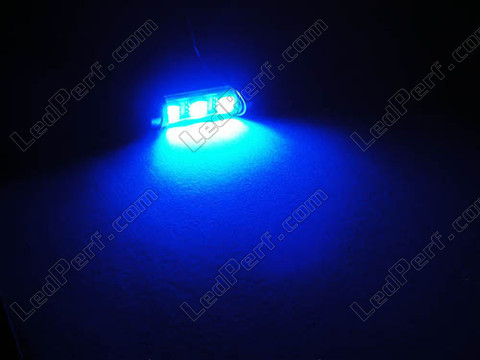 37mm LED bulb 6418 - C5W with no OBC error - Anti-OBC error Blue