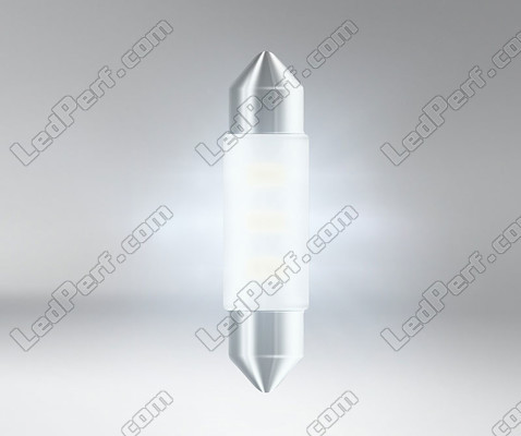 Lighting Osram Ledriving SL 41mm LED shuttle bulb C10W - White 6000K - 6413DWP-01B