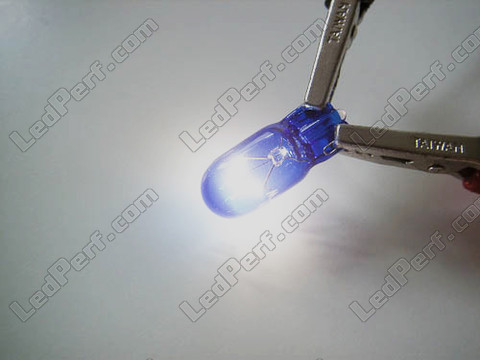 912 921 W16W bulb - T15 Base Halogen Blue Vision Xenon effect LED