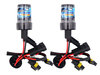 Ampoules Xenon HID Ford EcoSport (II)