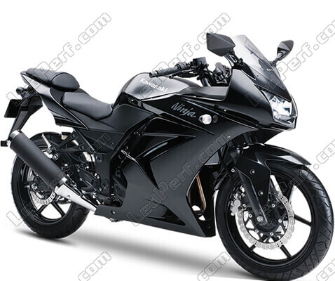 Motorcycle Kawasaki Ninja 250 R (2008 - 2012)