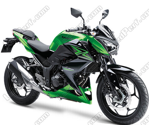 Motorcycle Kawasaki Z300 (2015 - 2018)