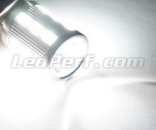 64136 - H21W backup LED bulb for reversing lights - white - Ultra Bright - BAY9S Base