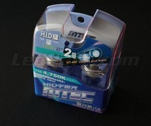 Pack of 2 MTEC Cosmos Blue H10 - 9140 - 9145 bulbs - xenon White