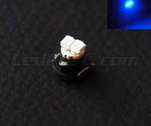 Blue 12V LED on bracket (T4.2)