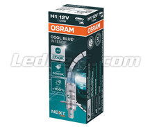 Ampoule H1 Osram Cool Blue Intense NEXT GEN - 64150CBN