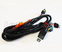 Faisceau de cables avec relais pour Kit Xenon HID H7