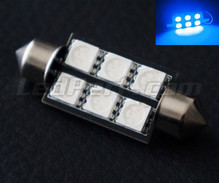 39mm festoon LED bulb - blue - Full Intensity