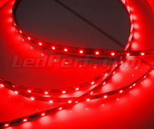 24V 50cm red flexible strip with (30 leds SMD)